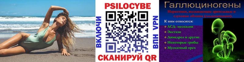 OMG ONION  Данилов  Галлюциногенные грибы Psilocybe  наркошоп 